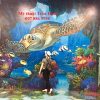 MẪU TRANH VẼ 3D